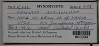 Image Associated With the Occurence
